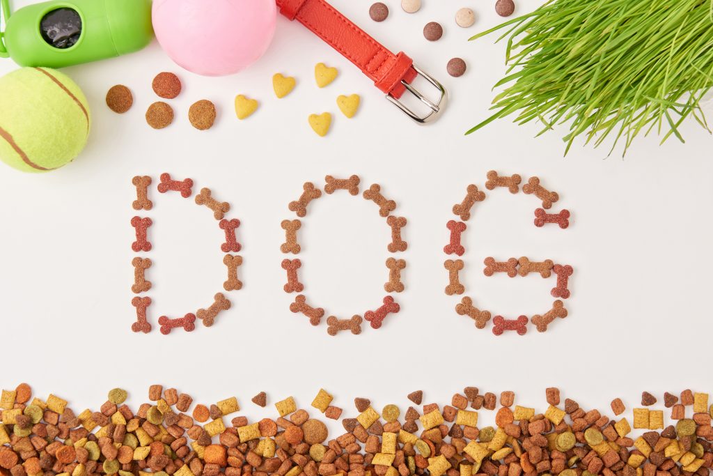 Quels compléments alimentaire pour votre chien ?